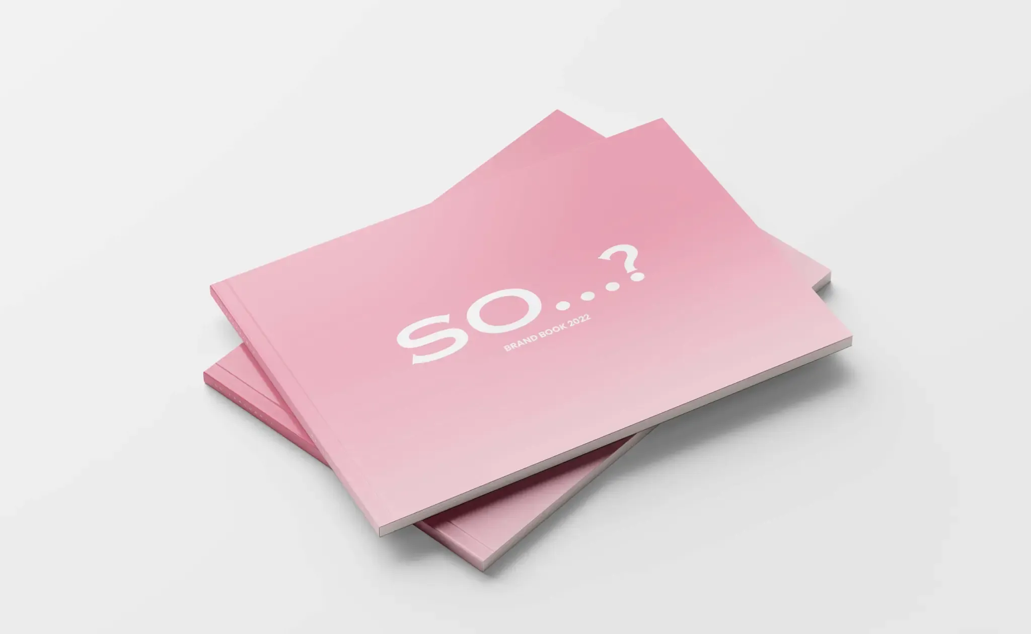 cosmetic brand guidelines design So...? manual