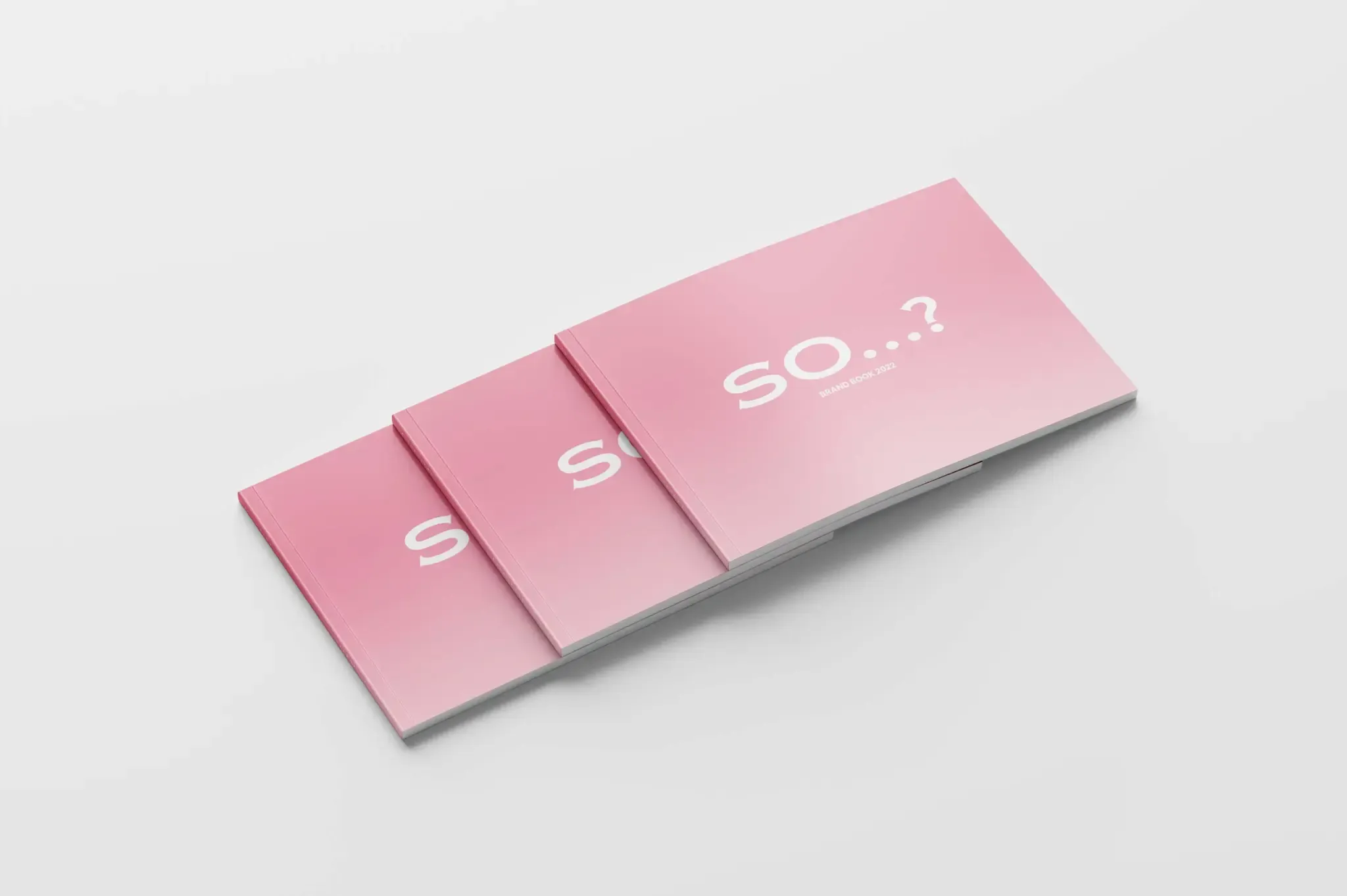 beauty brand book design typography standards