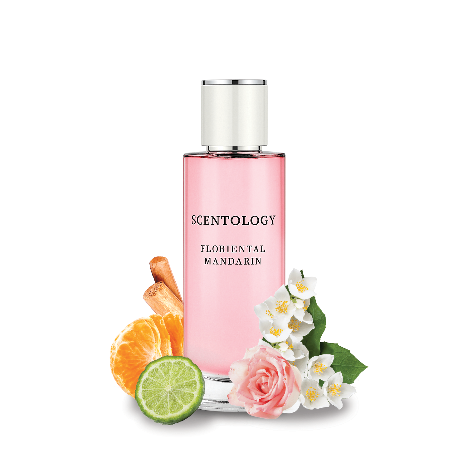 FlorientalMandarin_FragranceNotes