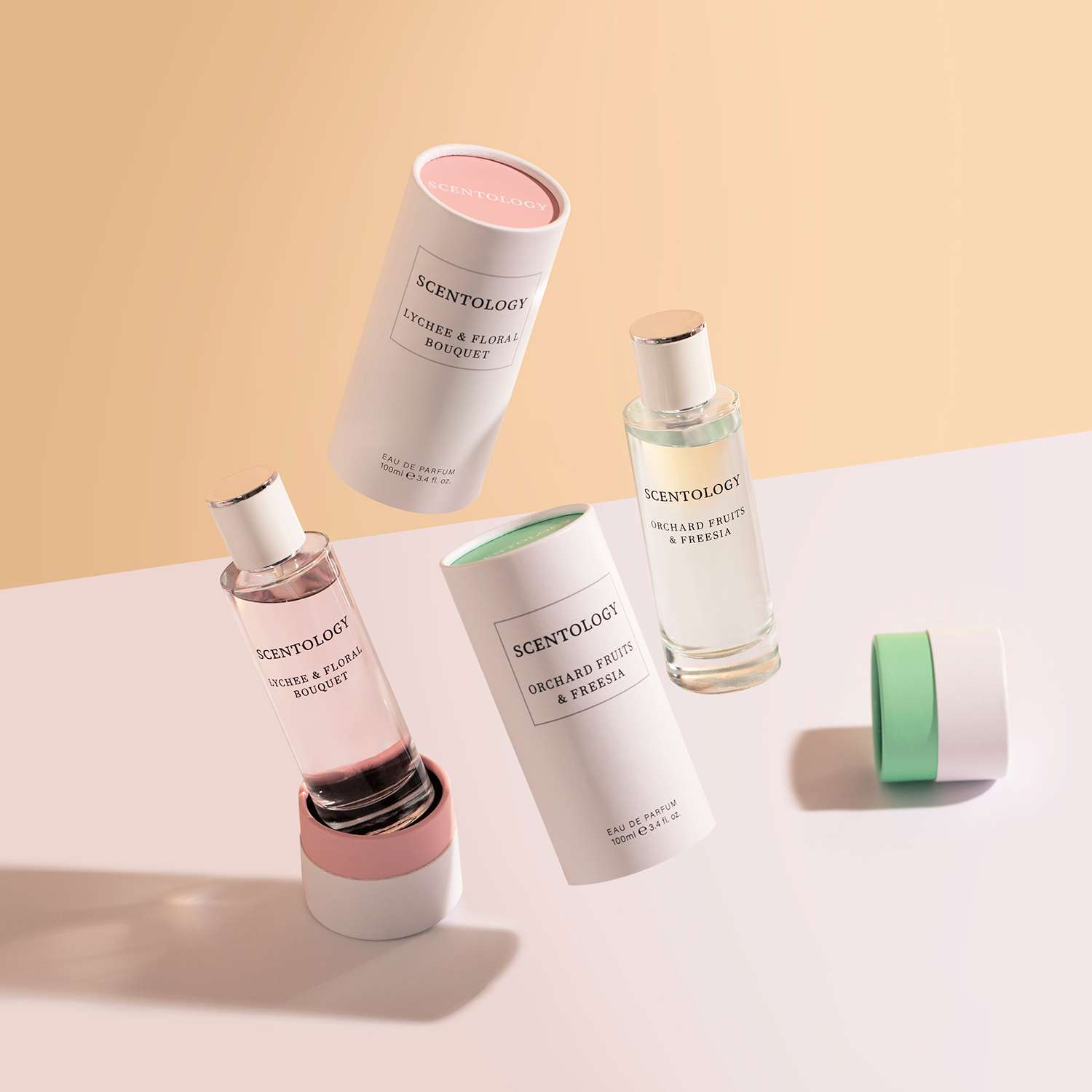 Orchard Fruits Group Shot