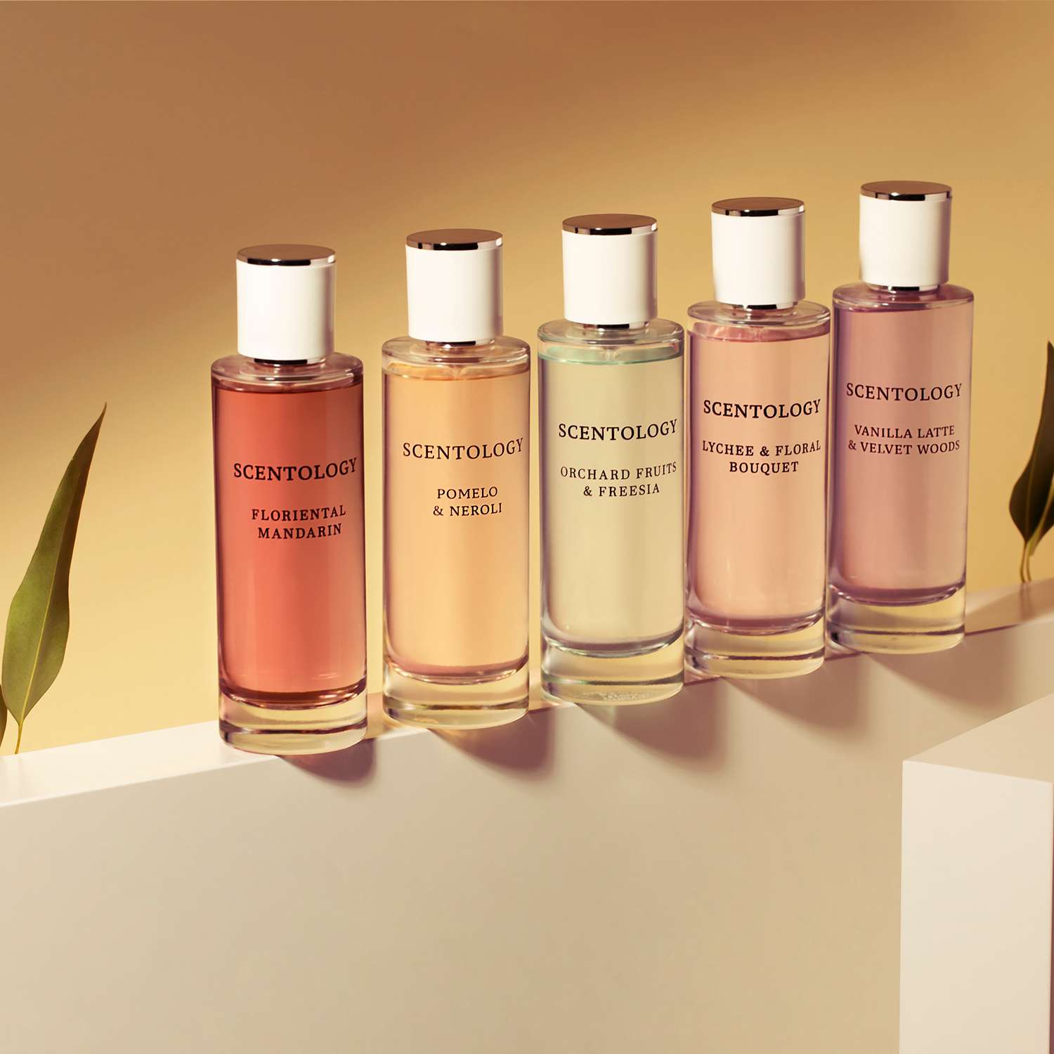 Scentology.group shot